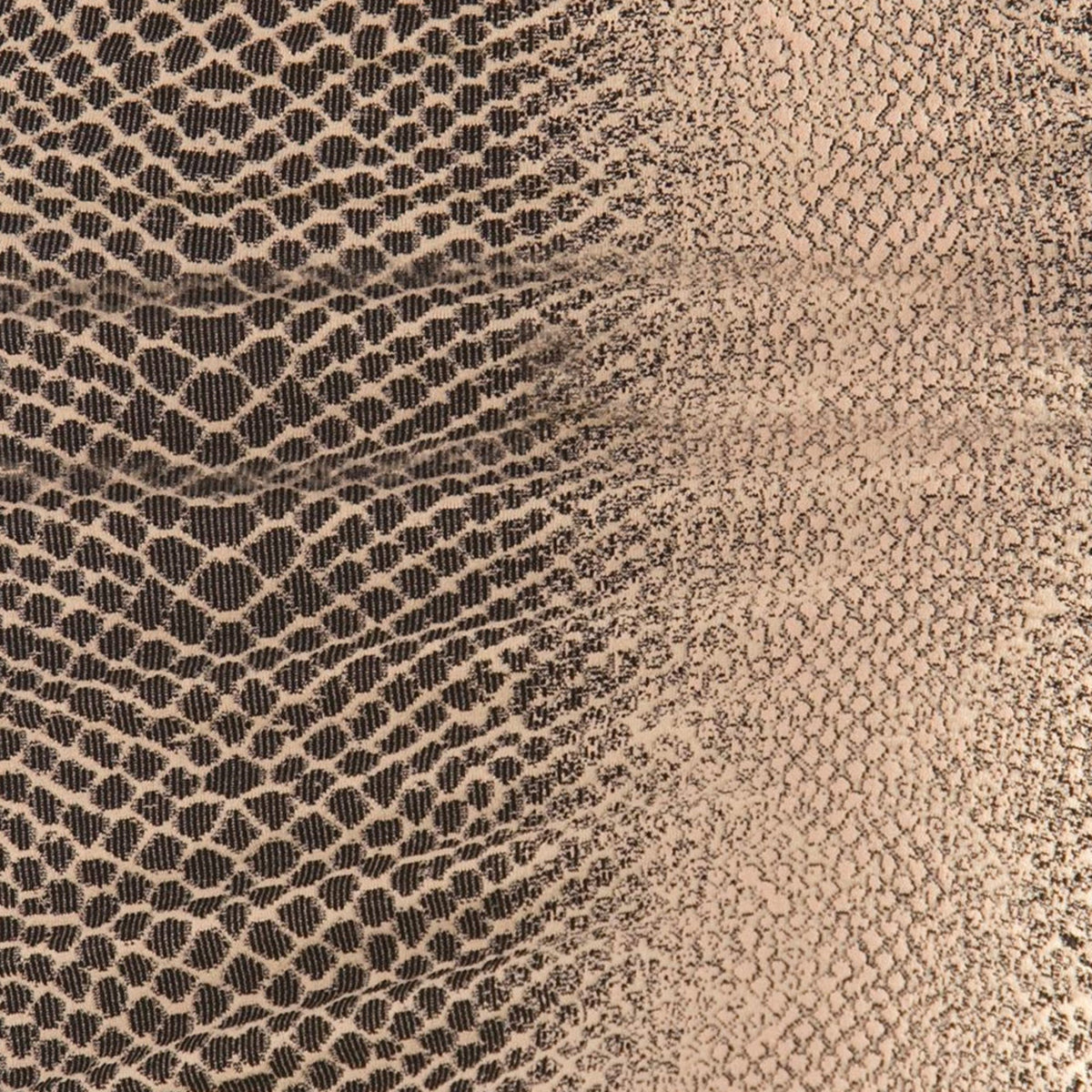 Animal Print Swatch Snake Stone